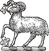 Vector clipart: sheep