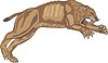 saber-toothed tiger Smilodon