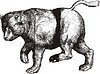 Vector clipart: Ursa Major (Big Dipper, Uranographia by J. Hevelius)