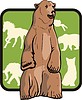 Vector clipart: bear