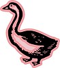 Vector clipart: goose