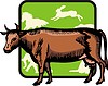 Vector clipart: cow