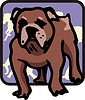 Vector clipart: bulldog