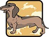 Vector clipart: dachshund