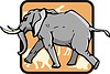 elephant