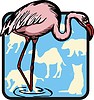 Vector clipart: flamingo