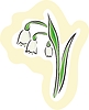 Vector clipart: lily of the valley