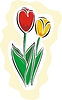 Vector clipart: tulips