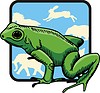 Vector clipart: frog