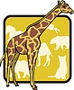 Векторный клипарт: жираф