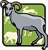 Vector clipart: goat