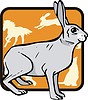 Vector clipart: hare