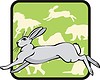 Vector clipart: hare