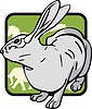 Vector clipart: hare