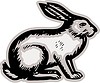 Vector clipart: hare