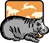 Vector clipart: hippopotamus