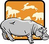 Vector clipart: hippopotamus