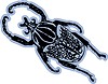 Vector clipart: beetle