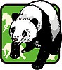 Векторный клипарт: панда