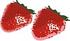 Vector clipart: strawberries