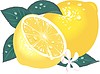 Лимон | Векторный клипарт