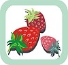 Vector clipart: strawberries