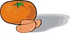 Vector clipart: tangerine