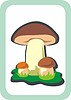 Vector clipart: edible boletus