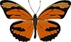 Vector clipart: Dryadula phaetusa butterfly