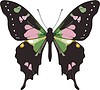 Vector clipart: Graphium weiskei butterfly