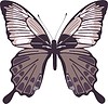 Vector clipart: Papilio memnon butterfly