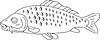 Vector clipart: fish