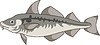 Vector clipart: fish