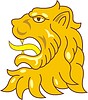 Vector clipart: lion head