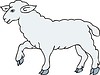 Vector clipart: sheep