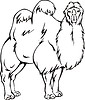 Vector clipart: bactrian camel