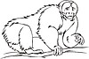 Vector clipart: bald uakari