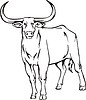 Vector clipart: buffalo