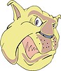 Vector clipart: bulldog