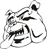 Vector clipart: bulldog