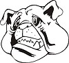 Vector clipart: bulldog