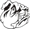 Vector clipart: bulldog