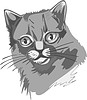 Vector clipart: cat