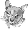 Vector clipart: cat