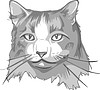 Vector clipart: cat