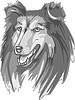 Vector clipart: collie