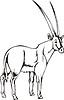 Vector clipart: gemsbok