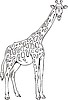 Vector clipart: giraffe