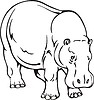 hippopotamus