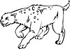 Vector clipart: homotherium